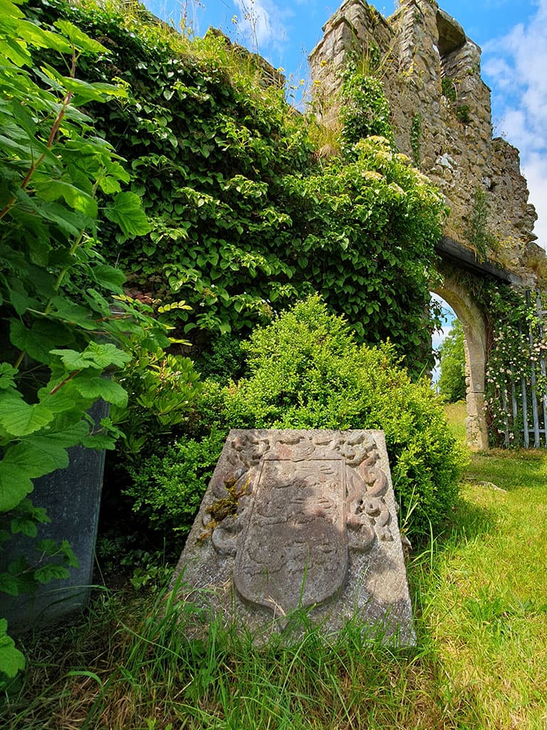 Clonony Castle view 2