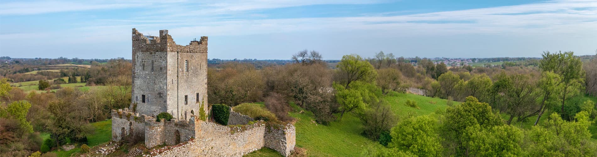 Clonony Castle, Co. Offaly